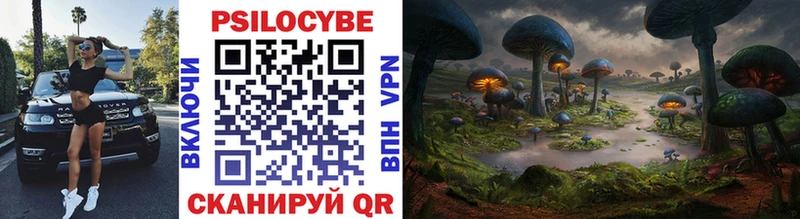 кракен сайт  Нягань  Галлюциногенные грибы Psilocybe 